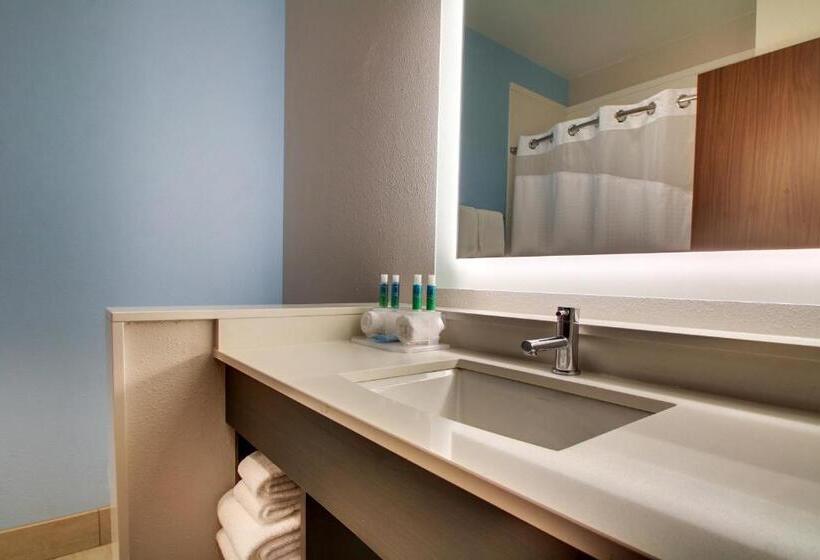 Номер Стандарт Кровать Кинг Адаптированный для Инвалидов, Holiday Inn Express & Suites Charleston Ne Mt Pleasant Us17, An Ihg