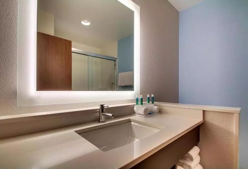 身障者適用スイートルーム, Holiday Inn Express & Suites Charleston Ne Mt Pleasant Us17, An Ihg
