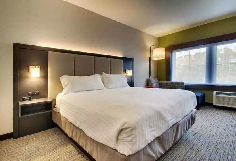 身障者適用スイートルーム, Holiday Inn Express & Suites Charleston Ne Mt Pleasant Us17, An Ihg
