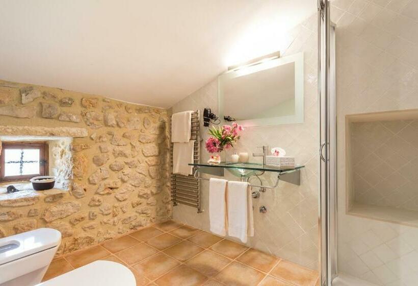 标准间, Finca Son Ametler