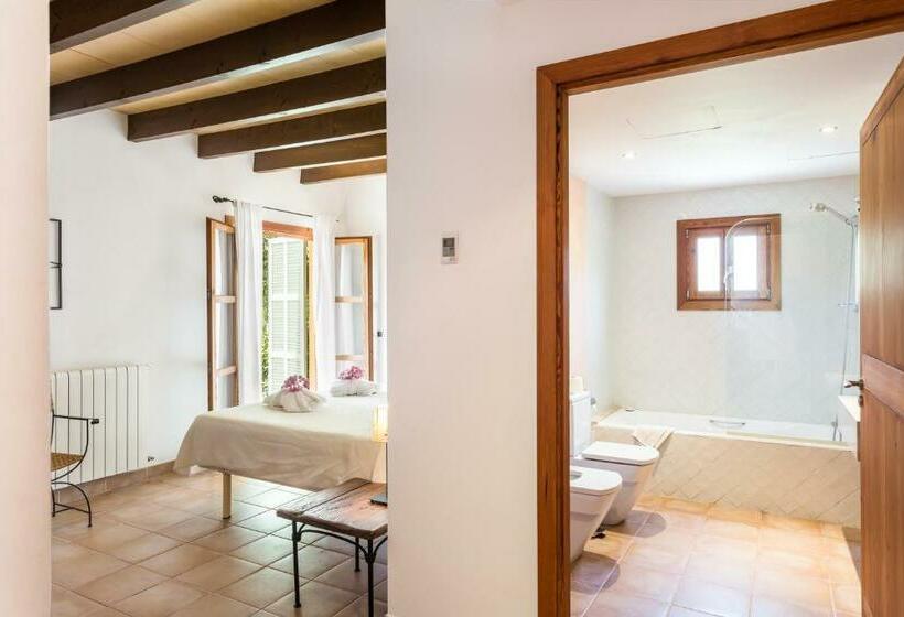 标准间, Finca Son Ametler