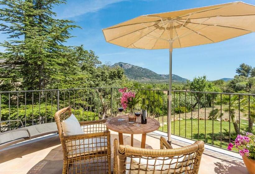 带露台的小型套房, Finca Son Ametler