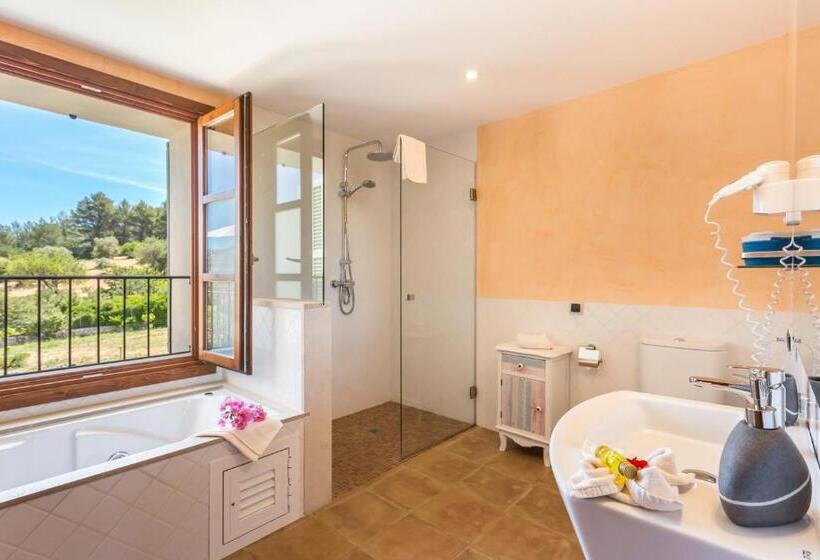 带露台的小型套房, Finca Son Ametler