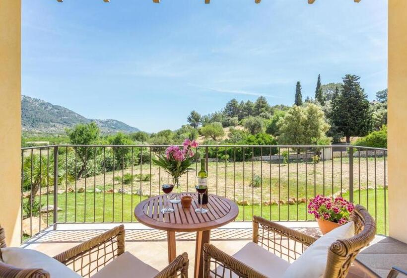 带露台的小型套房, Finca Son Ametler