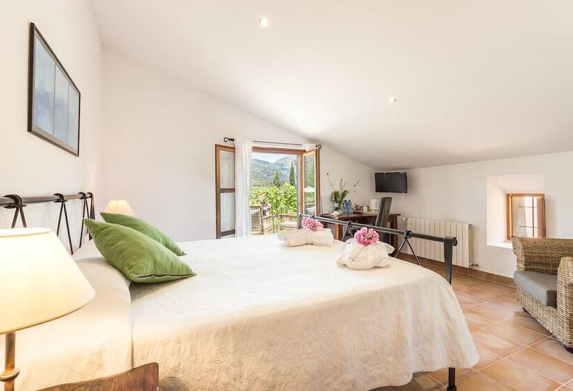 标准间带露台, Finca Son Ametler