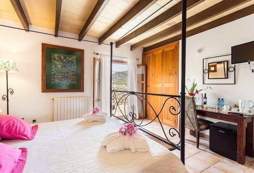 标准间带露台, Finca Son Ametler