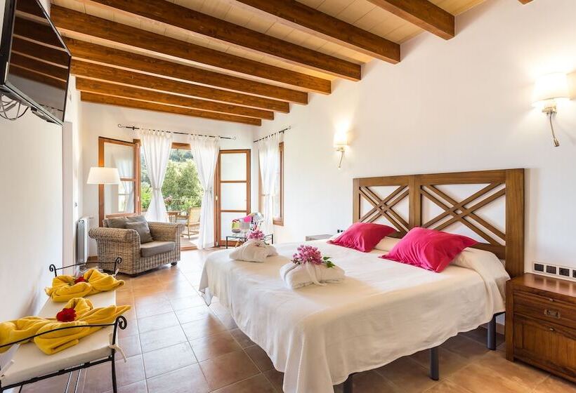 带露台的小型套房, Finca Son Ametler