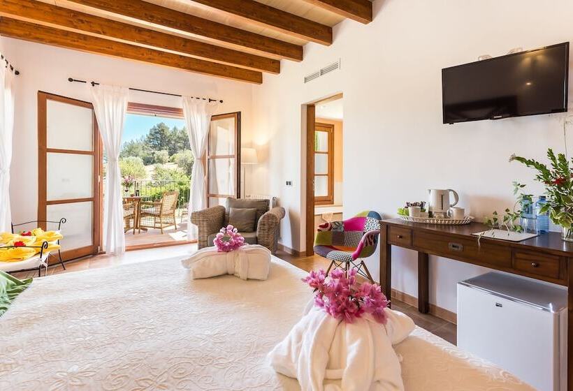 带露台的小型套房, Finca Son Ametler