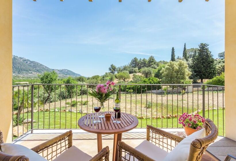 带露台的小型套房, Finca Son Ametler