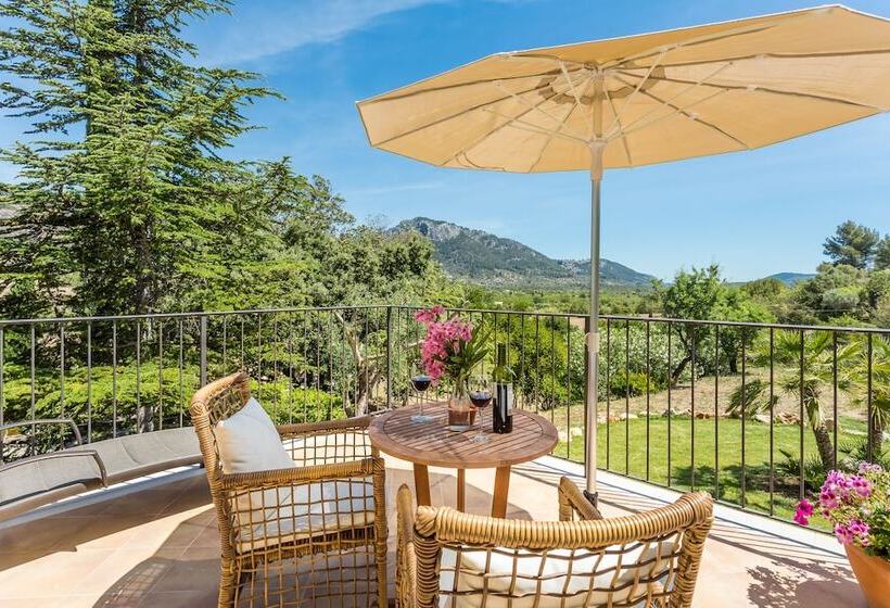 带露台的小型套房, Finca Son Ametler