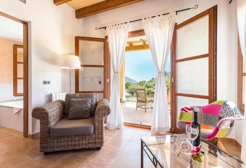 带露台的小型套房, Finca Son Ametler