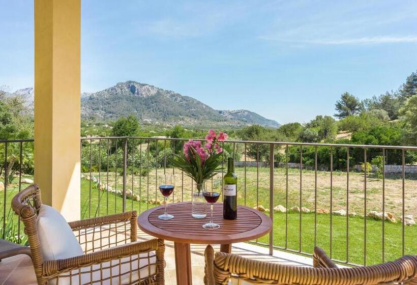 带露台的小型套房, Finca Son Ametler