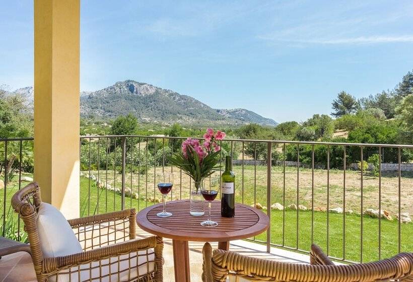 带露台的小型套房, Finca Son Ametler