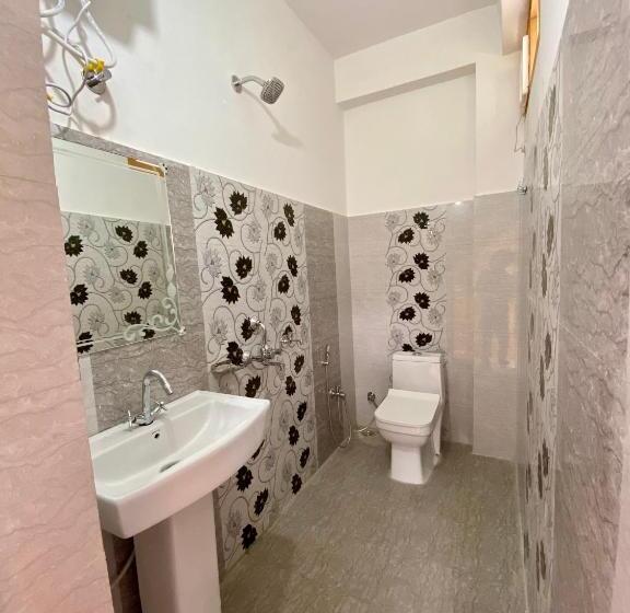 Номер Deluxe с Балконом, Mansarovar Inn