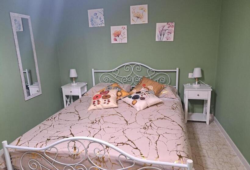 Номер Стандарт, B&b Vivilmatese