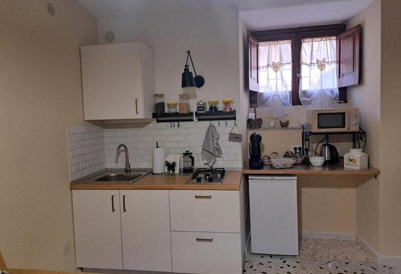 스탠다드 스튜디오, B&b Vivilmatese