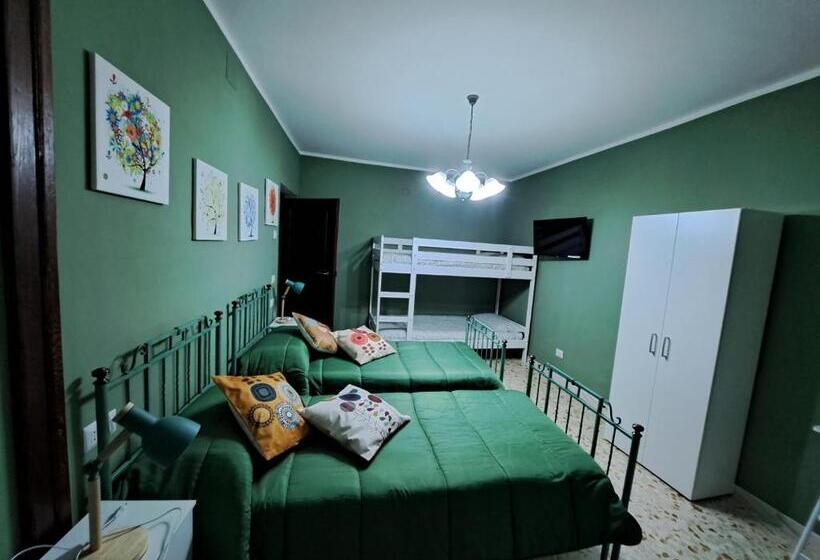 标准工作室, B&b Vivilmatese