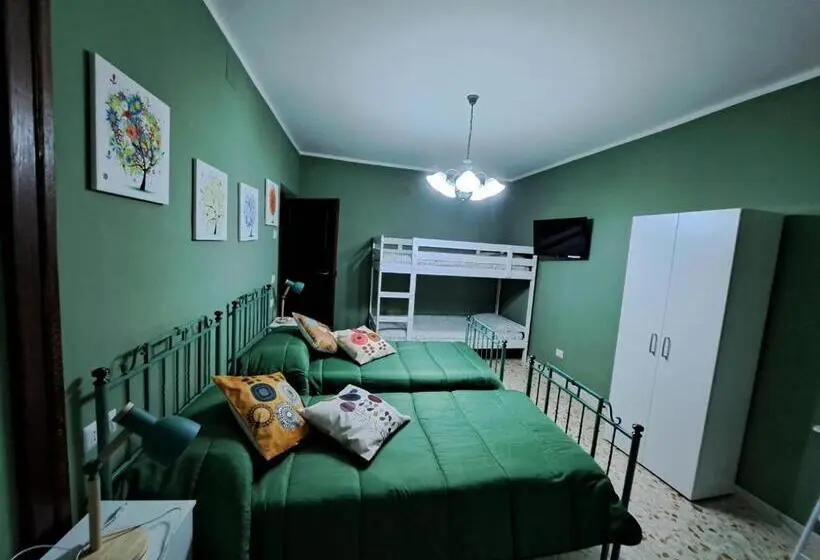 Standard-studio, B&b Vivilmatese