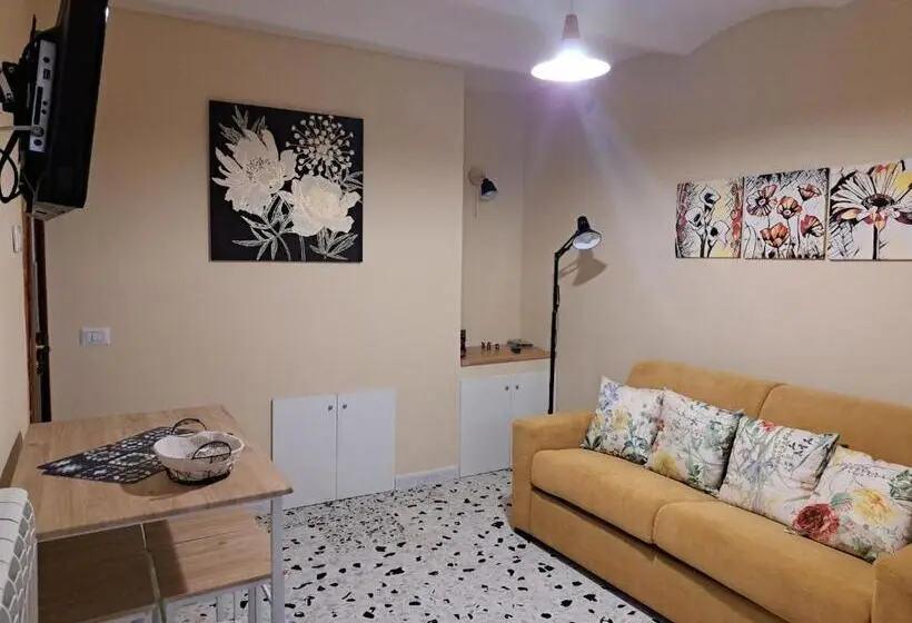 Standard-studio, B&b Vivilmatese