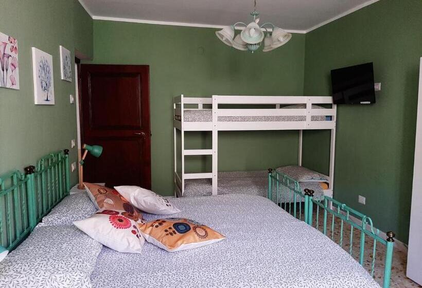 Студия Стандарт, B&b Vivilmatese