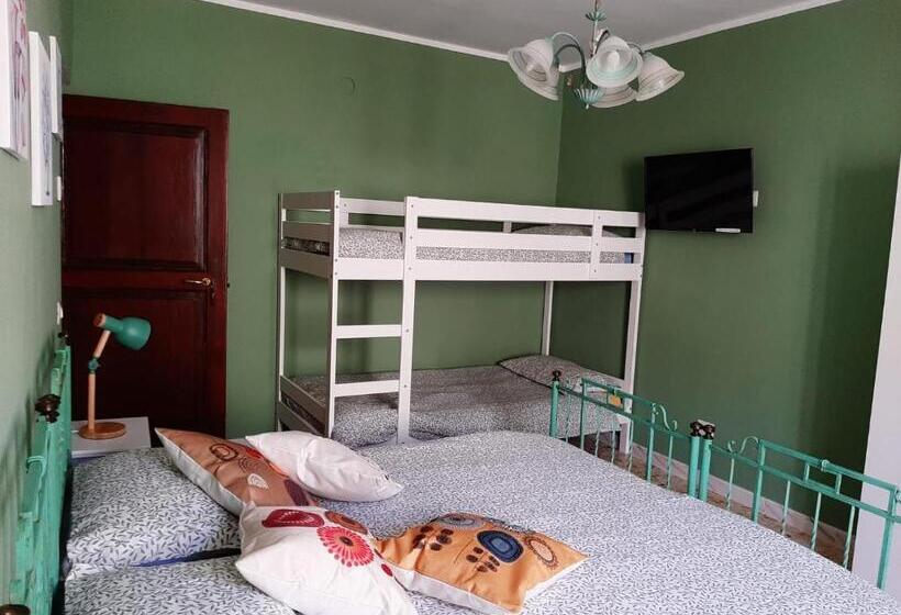 标准工作室, B&b Vivilmatese