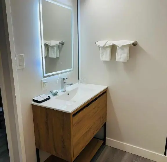 デラックスルーム, City Centre Motel Ii