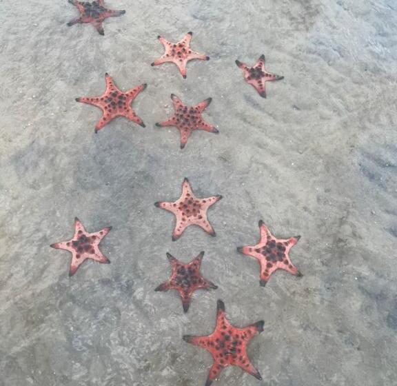 آپارتمان 2 خوابه, Eco Cay Sao Phu Quoc