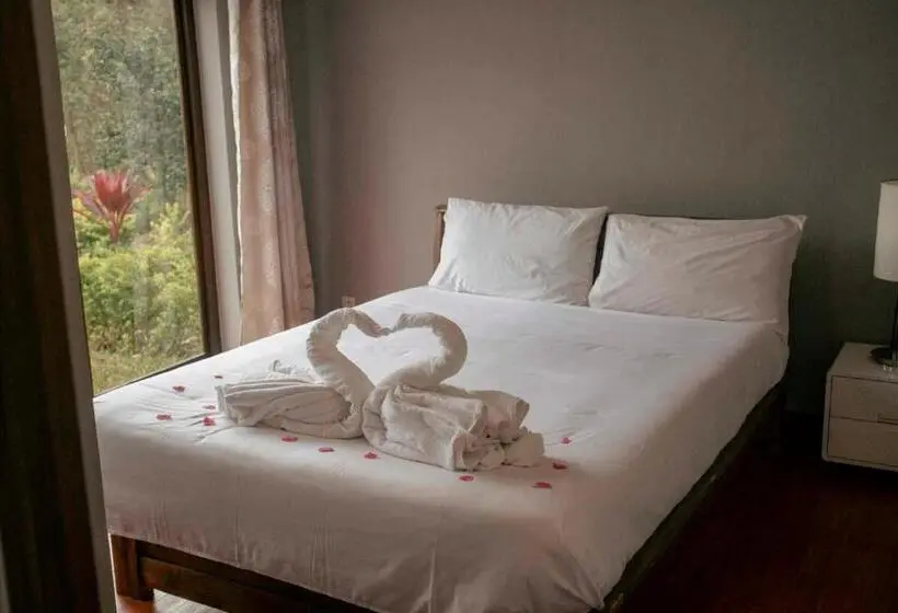 اتاق خانوادگی, Oka Forest Lodge