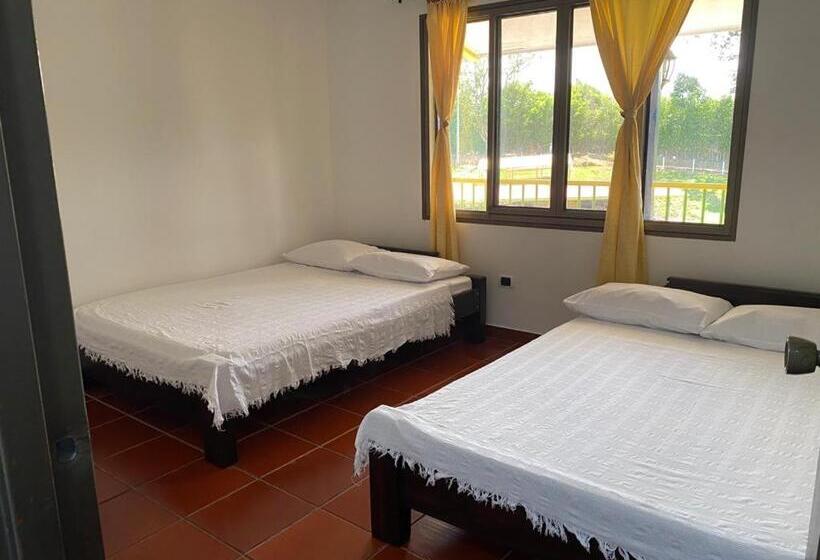 ファミリールーム, Villa Bernal