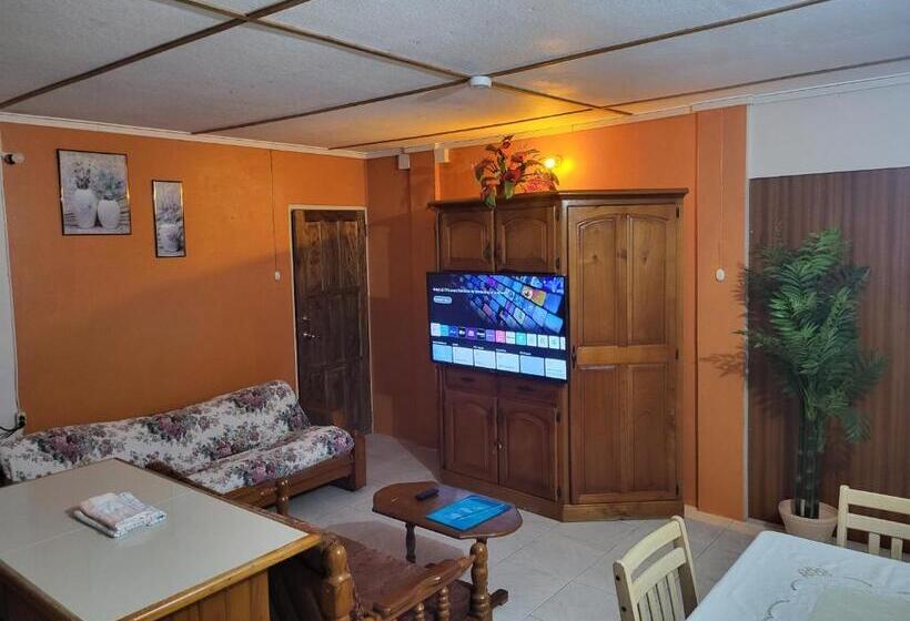 آپارتمان 1 خوابه با چشمانداز دریا, Birdie S Nest