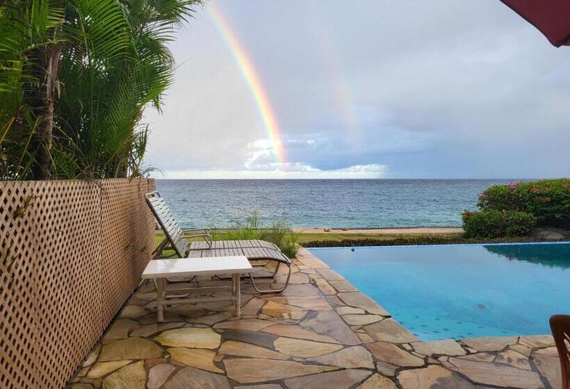 آپارتمان 1 خوابه با چشمانداز دریا, Birdie S Nest