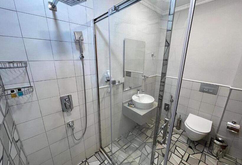 اتاق استاندارد, Arena Sport