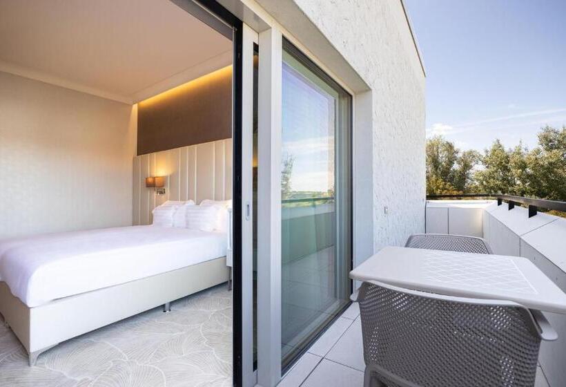 スタンダードインサイドビュールーム, Gerardus