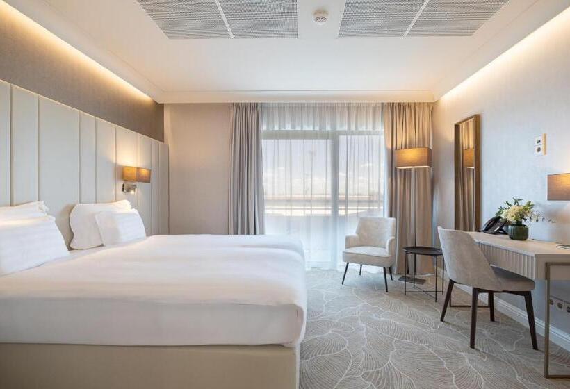 スイート, Gerardus