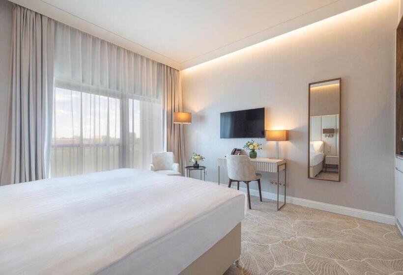 スーペリアールーム, Gerardus