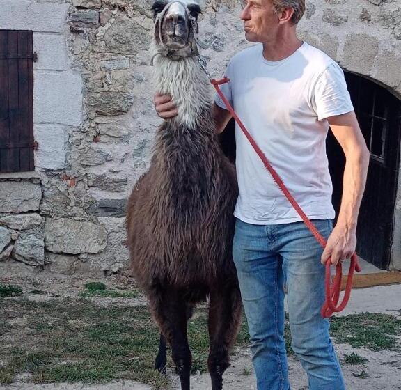 غرفة قياسية مطلّة علي الحديقة, Les Chambres De Solol