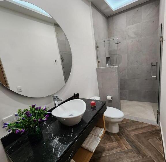 Quarto Estandar, úrsula Concept