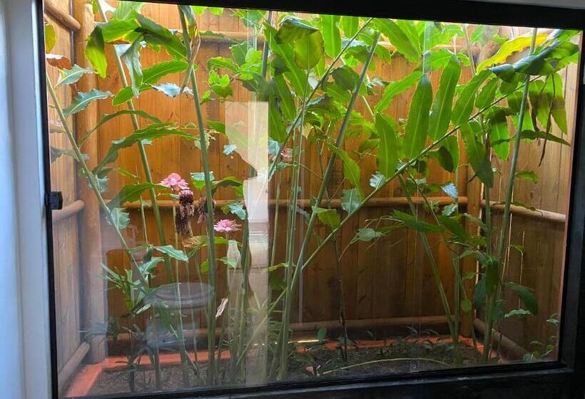 סוויטה עם טרסה, Pousada Flor Do Rio