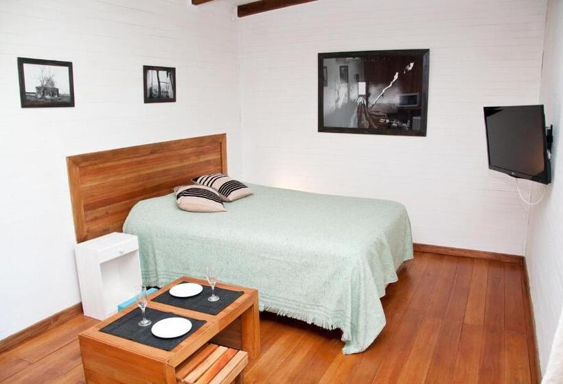 غرفة قياسية, Altavista Terra