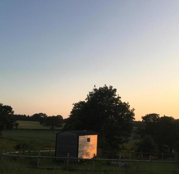 شاليه غرفة نوم واحدة, Wellbank Shepherds Hut