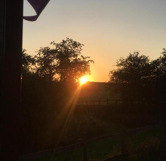 شاليه غرفة نوم واحدة, Wellbank Shepherds Hut