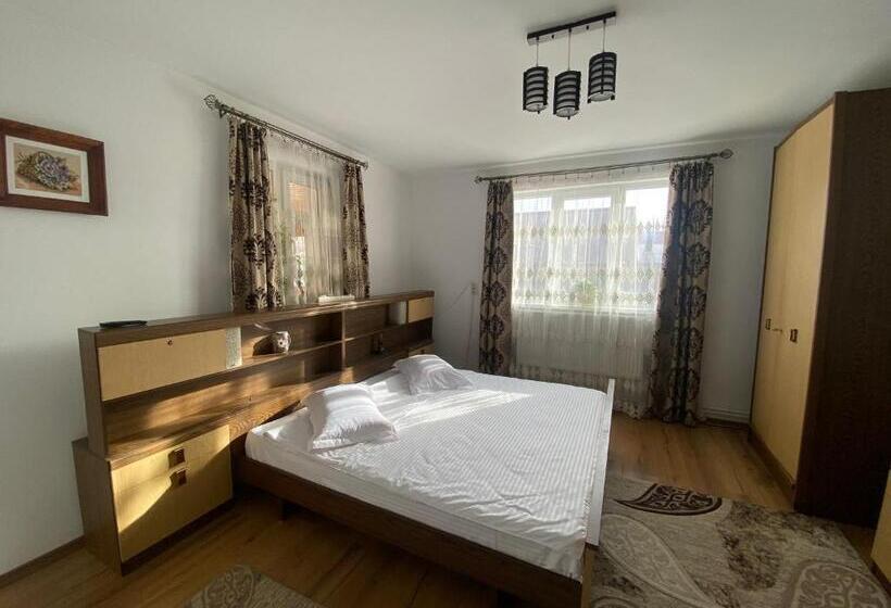 Апартаменты 2 Спальни, Casa Irina