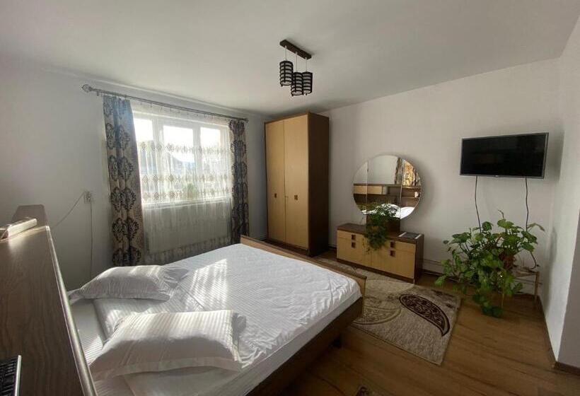 Апартаменты 2 Спальни, Casa Irina