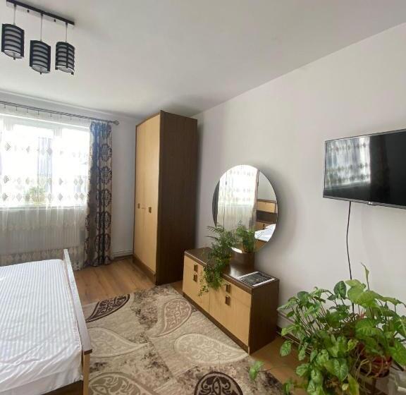 Апартаменты 2 Спальни, Casa Irina