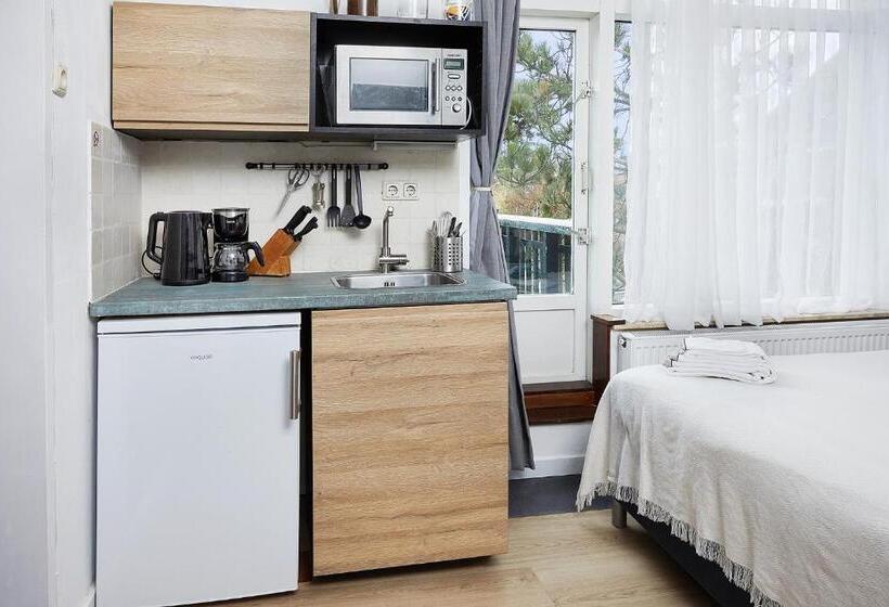 غرفة أساسية مزودة بشُرفة, Guest House Aquarius