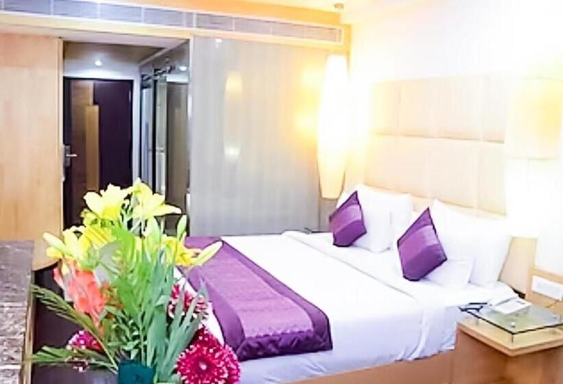 Deluxe-huone, King Plaza Near Delhi Airport