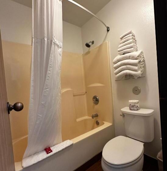 اتاق استاندارد با تخت بزرگ, The Copper Hotel, Surestay Collection By Best Western