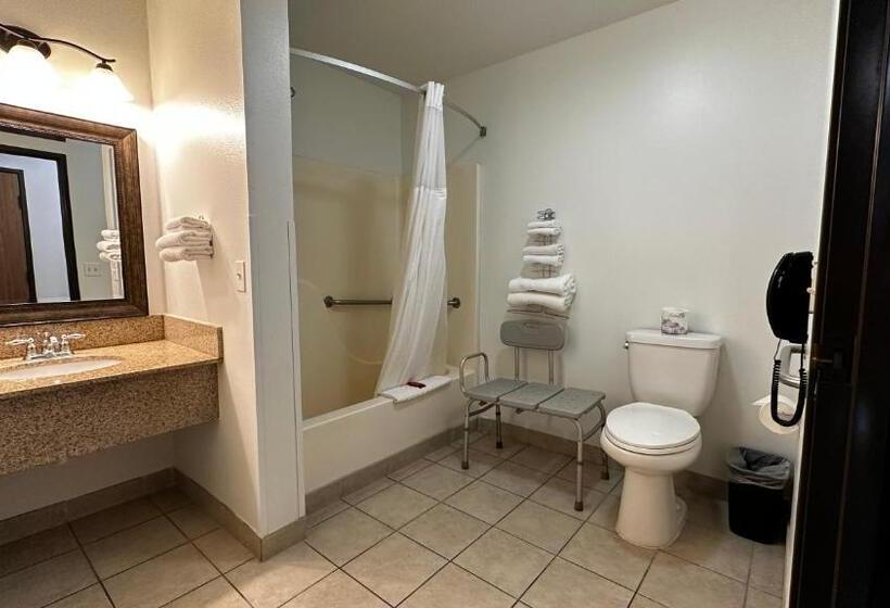 اتاق استاندارد با تخت بزرگ برای معلولان, The Copper Hotel, Surestay Collection By Best Western