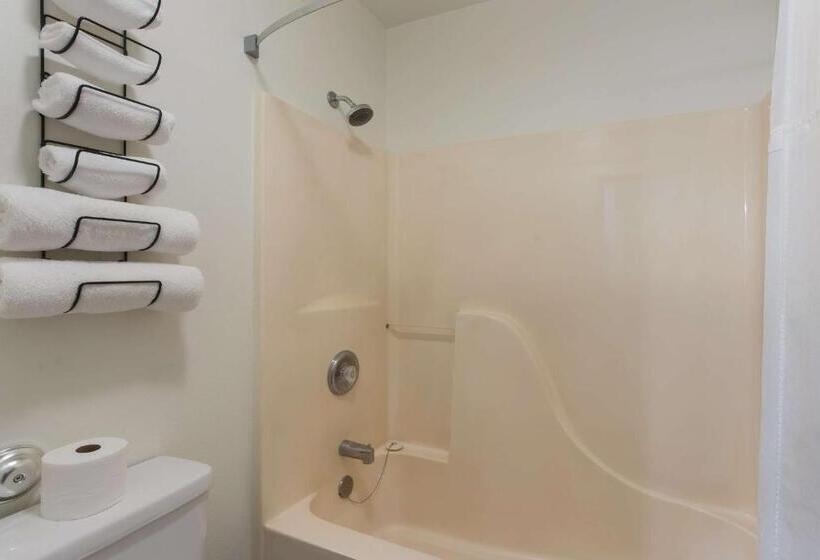 اتاق استاندارد با تخت بزرگ برای معلولان, The Copper Hotel, Surestay Collection By Best Western