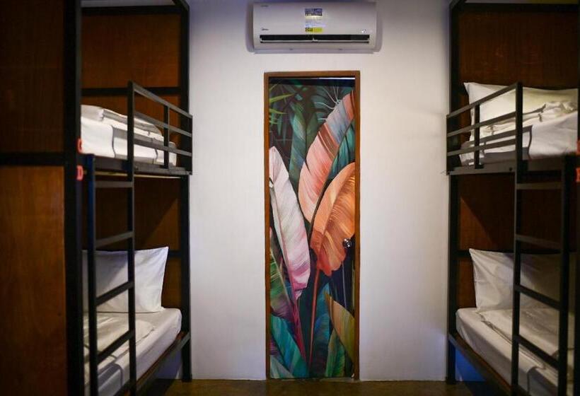 تختخواب در اتاق مشترک, Abraham Bohol